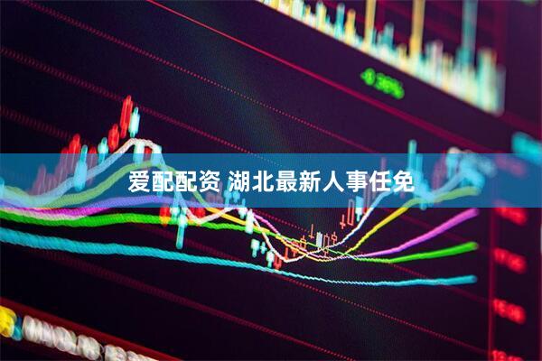 爱配配资 湖北最新人事任免