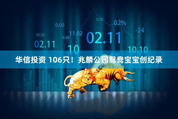 华信投资 106只！兆麟公园鸳鸯宝宝创纪录