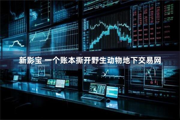 新影宝 一个账本撕开野生动物地下交易网