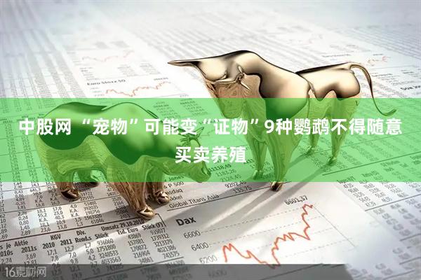 中股网 “宠物”可能变“证物”9种鹦鹉不得随意买卖养殖