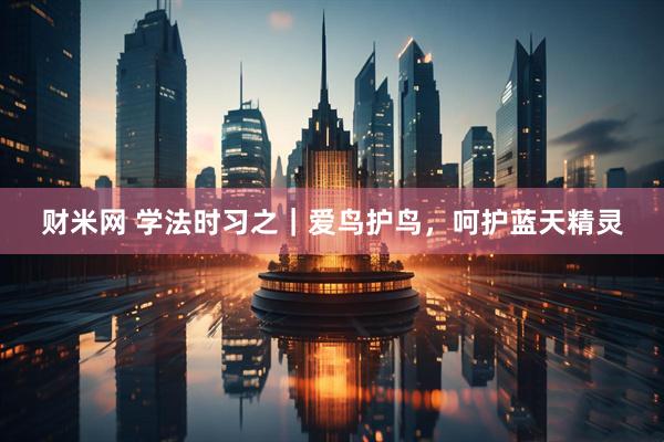 财米网 学法时习之｜爱鸟护鸟，呵护蓝天精灵