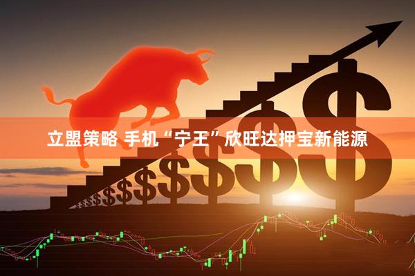 立盟策略 手机“宁王”欣旺达押宝新能源