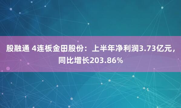 股融通 4连板金田股份：上半年净利润3.73亿元，同比增长203.86%