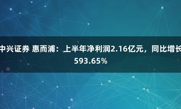 中兴证券 惠而浦：上半年净利润2.16亿元，同比增长593.65%