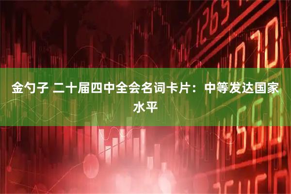 金勺子 二十届四中全会名词卡片：中等发达国家水平