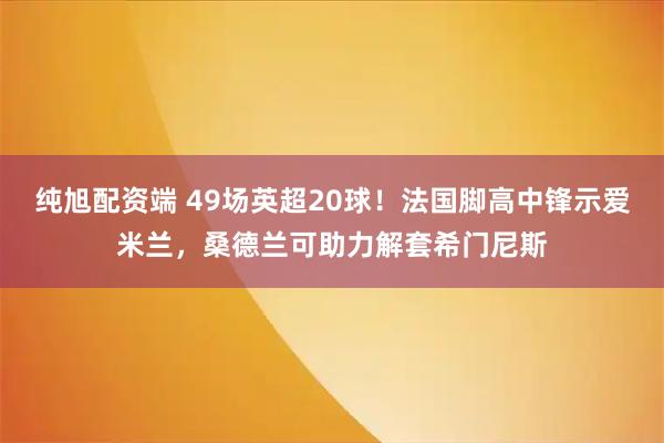 纯旭配资端 49场英超20球!法国脚高中锋示爱米兰,桑德兰可助力解套希门尼斯