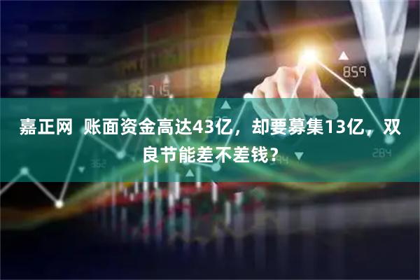 嘉正网  账面资金高达43亿，却要募集13亿，双良节能差不差钱？