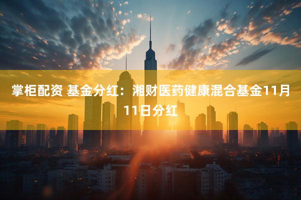 掌柜配资 基金分红:湘财医药健康混合基金11月11日分红