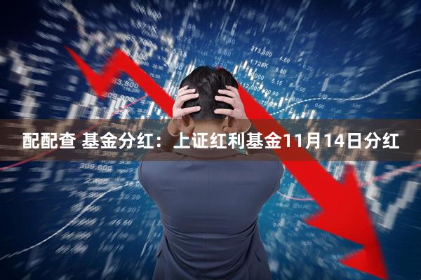 配配查 基金分红:上证红利基金11月14日分红