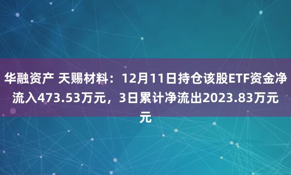 华融资产 天赐材料:12月11日持仓该股ETF资金净流入473.53万元,3日累计净流出2023.83万元