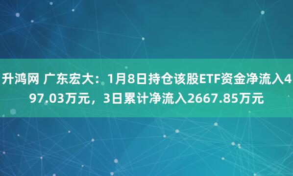 升鸿网 广东宏大：1月8日持仓该股ETF资金净流入497.03万元，3日累计净流入2667.85万元